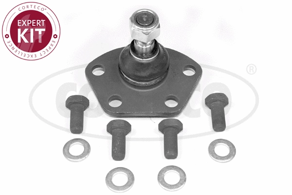 Ball Joint (49399107)