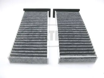 Filter, cabin air (80000397)