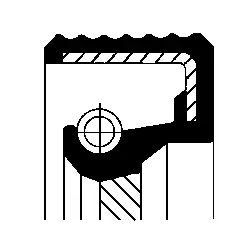 Shaft Seal, crankshaft (20019852B)