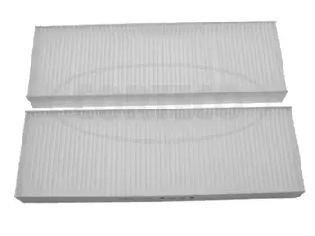 Filter, cabin air (80000156)