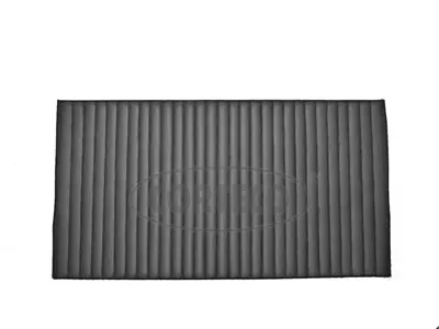 Filter, cabin air (80001441)