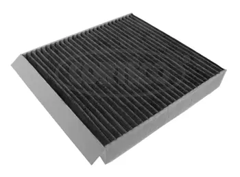 Filter, cabin air (80004651)