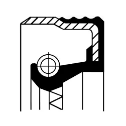 Shaft Seal, crankshaft (12012709B)