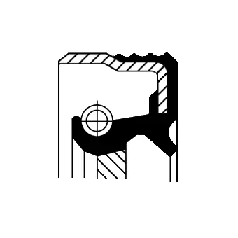 Shaft Seal, crankshaft (12012347B)