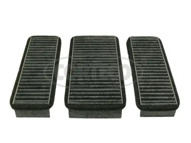 Filter, cabin air (80000765)