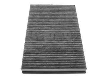 Filter, cabin air (80000021)