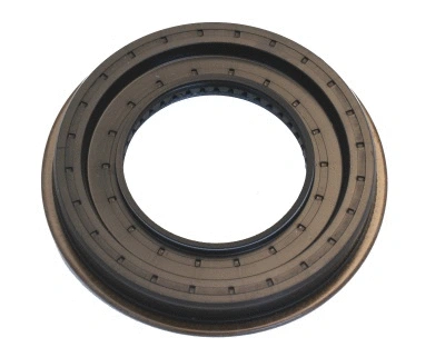 Shaft Seal, differential (12006479B)