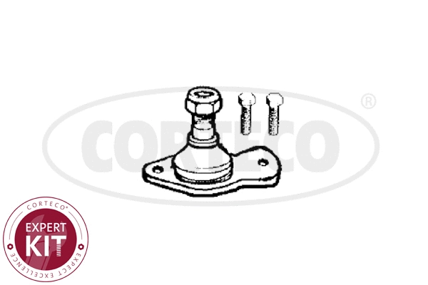 Ball Joint (49400382)