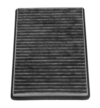 Filter, cabin air (80004653)