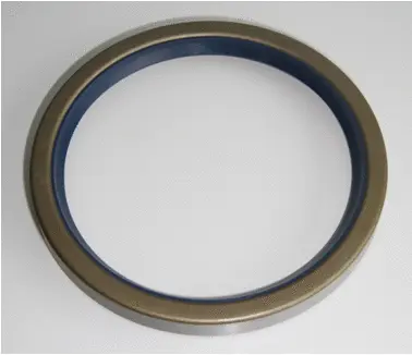Shaft Seal, wheel hub (01003494B)