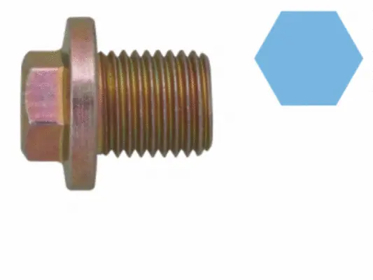 Screw Plug, oil sump (220111S)