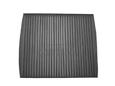 Filter, cabin air (80001206)
