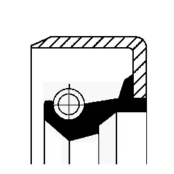 Shaft Seal, differential (19016649B)