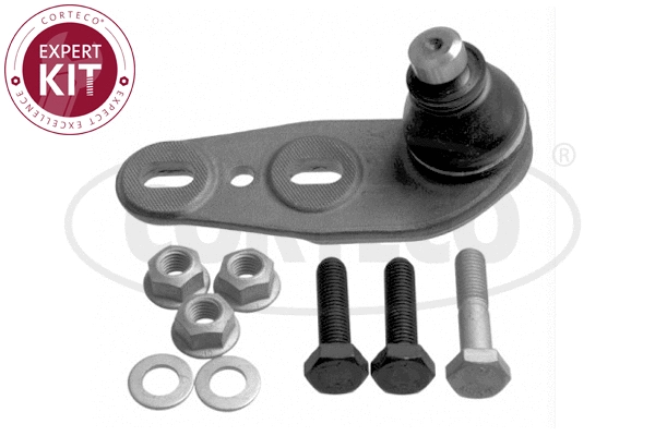 Ball Joint (49401083)