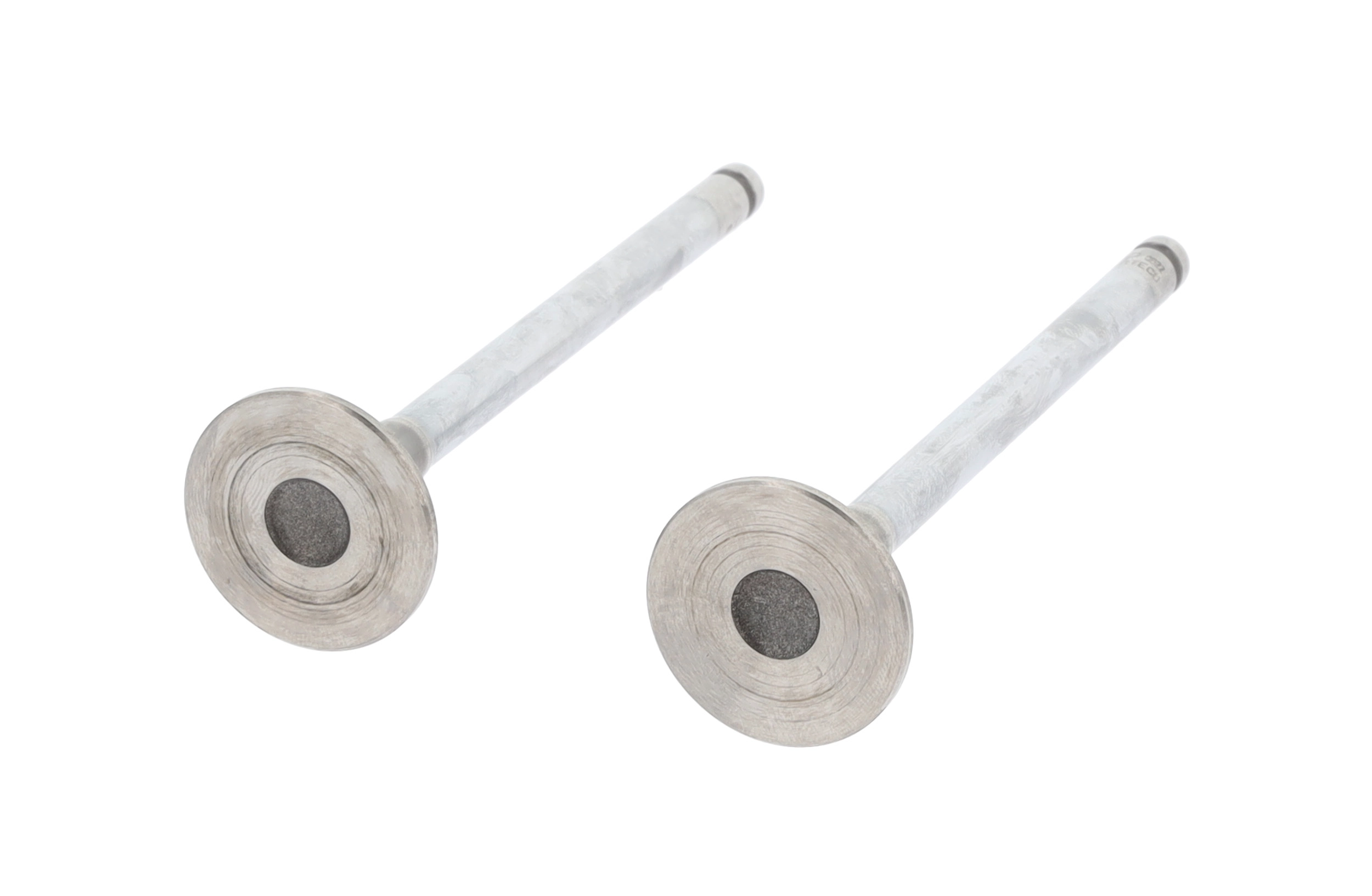 Exhaust Valve