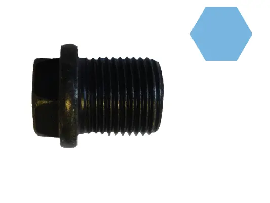 Screw Plug, oil sump (220085h)