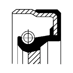 Shaft Seal, crankshaft (12001475B)
