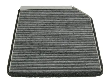 Filter, cabin air (80000747)