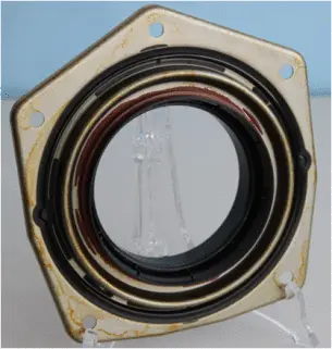 Shaft Seal, crankshaft (20026411B)