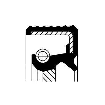 Shaft Seal, differential (01020536B)