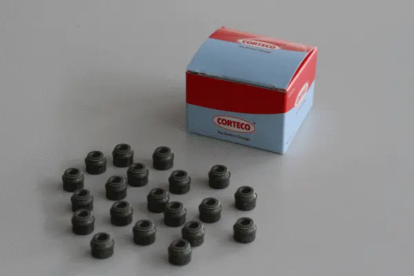 Seal Set, valve stem (19034072)