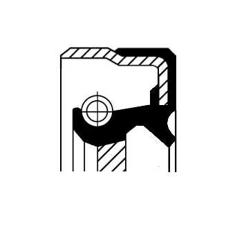 Shaft Seal, crankshaft (12012045B)