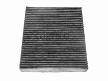 Filter, cabin air (21653035)
