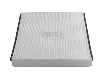 Filter, cabin air (21653029)