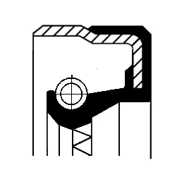 Shaft Seal, differential (01032876B)