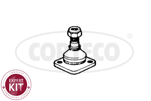 Ball Joint (49400925)
