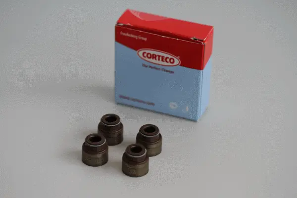 Seal Set, valve stem (19036063)