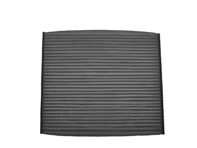Filter, cabin air (80001444)
