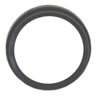 Shaft Seal, differential (19017584B)