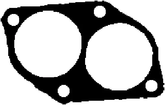 Gasket, exhaust pipe (027163H)