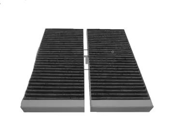 Filter, cabin air (80000792)