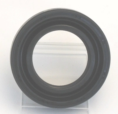 Shaft Seal, differential (19035892B)