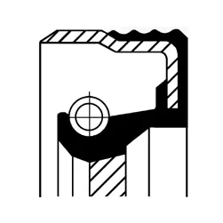 Shaft Seal, crankshaft (12012068B)
