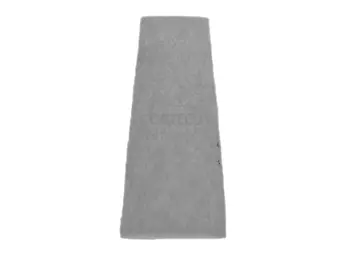 Filter, cabin air (80000349)