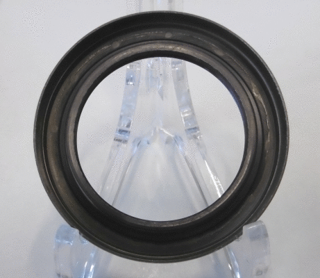 Shaft Seal, wheel hub