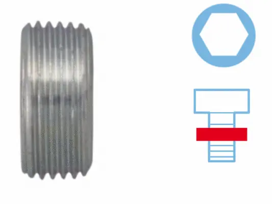 Screw Plug, oil sump (220127S)