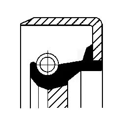 Seal Ring (20027937B)