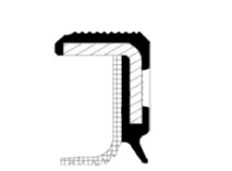 Shaft Seal, crankshaft (20037129B)