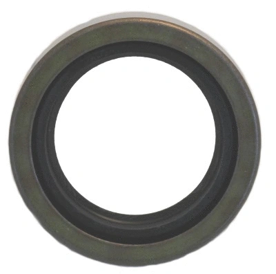 Shaft Seal, differential (19017585B)