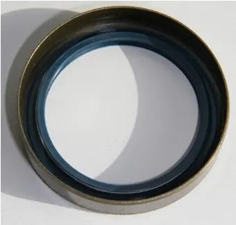 Shaft Seal, wheel hub