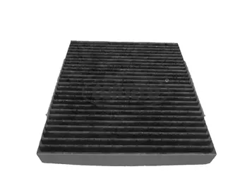 Filter, cabin air (80001040)