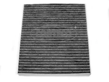 Filter, cabin air (80001175)