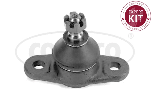 Ball Joint (49400181)