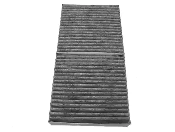 Filter, cabin air (80000071)