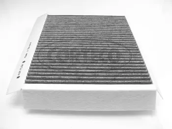 Filter, cabin air (80000402)