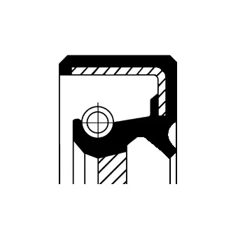 Shaft Seal, crankshaft (19036897B)
